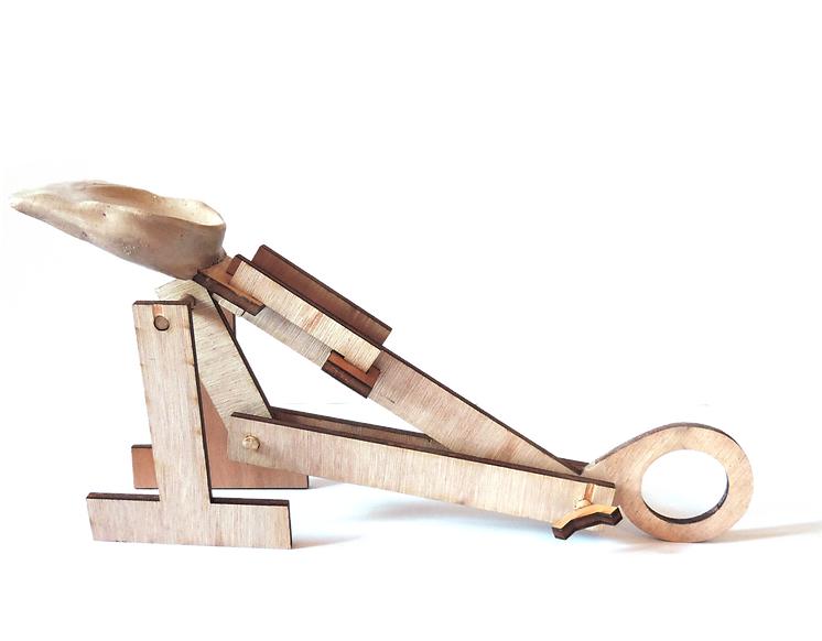 PRESENTATION CATAPULTE BRETONNE.png