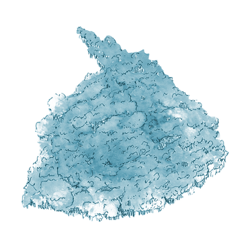 foret.png