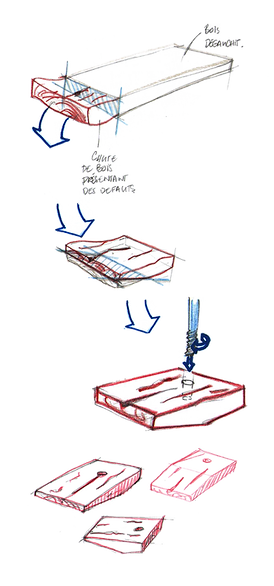 coccs scierie png.png