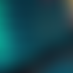 Your Guide to Safe Sports Betting Online