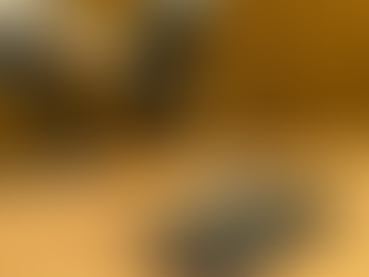 What About Whataboutism?