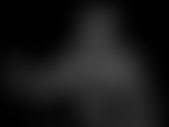 Toots and the Maytals