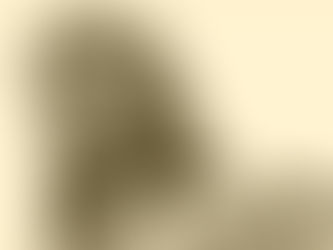 Roger Williams and the Birth of Religious Tolerance in America