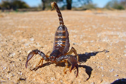 original (1)_edited.jpg