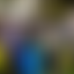 Internationale Chorbegegnung: University of Pretoria Youth Choir /South Africa