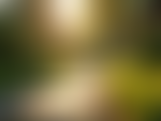 Landscape Lighting Lake Norman, Nc