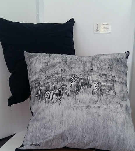 3 photo zebra $60.jpg