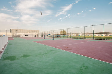 Netball and Basketball Field