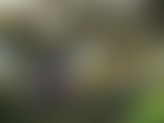 Ξεκινήστε το 2020 με τρία εντελώς δωρεάν παιχνίδια για το PC σας