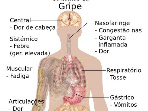 Aromaterapia Na Gripe