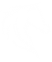 white-horse.png