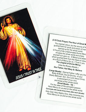 Mystical Rose Collection (4 of 85).jpg