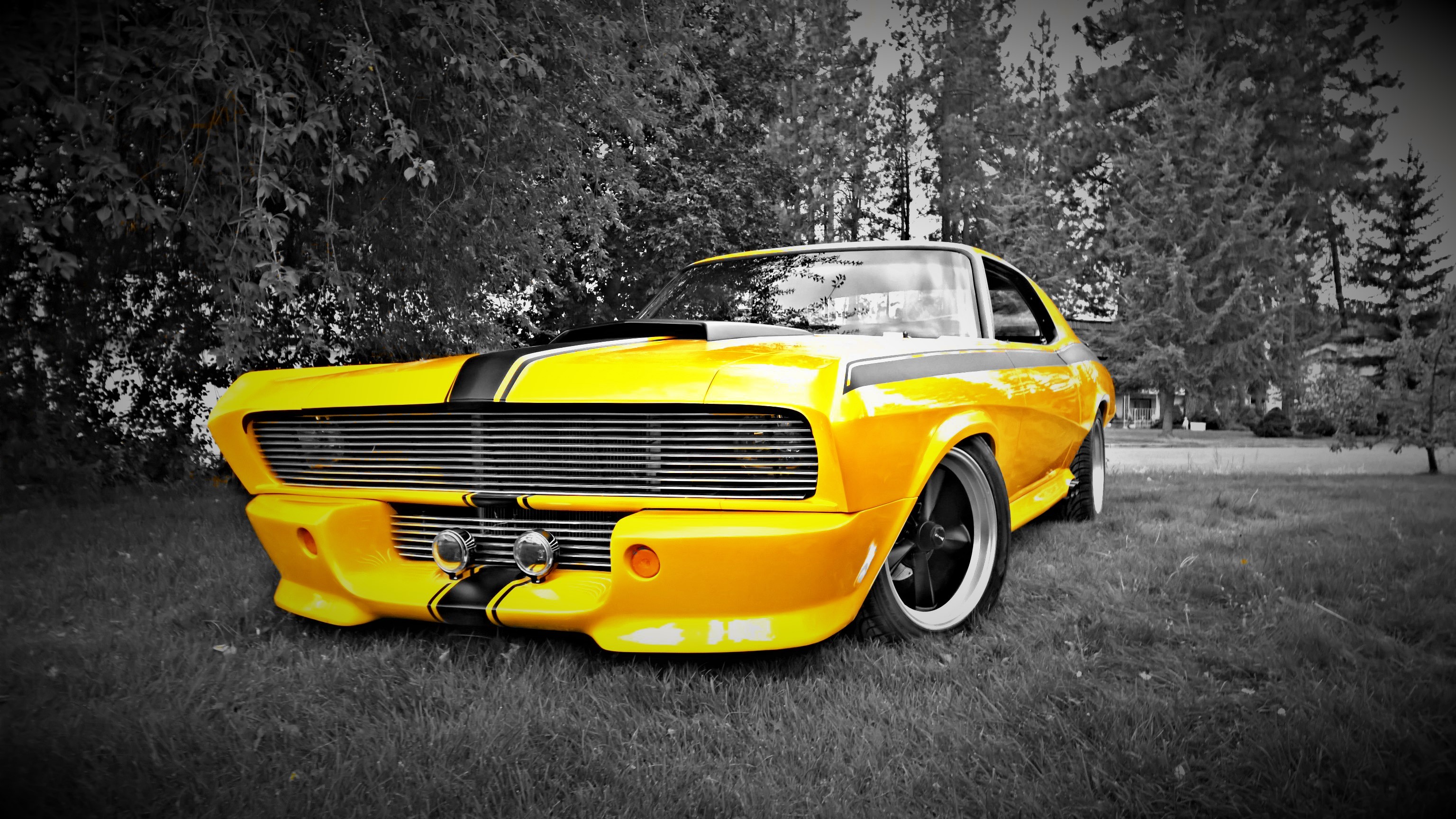 Home Auto Paint Plus