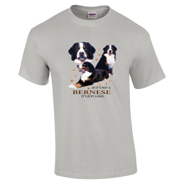 Thumbnail: Bernese Just A Dog T-shirt