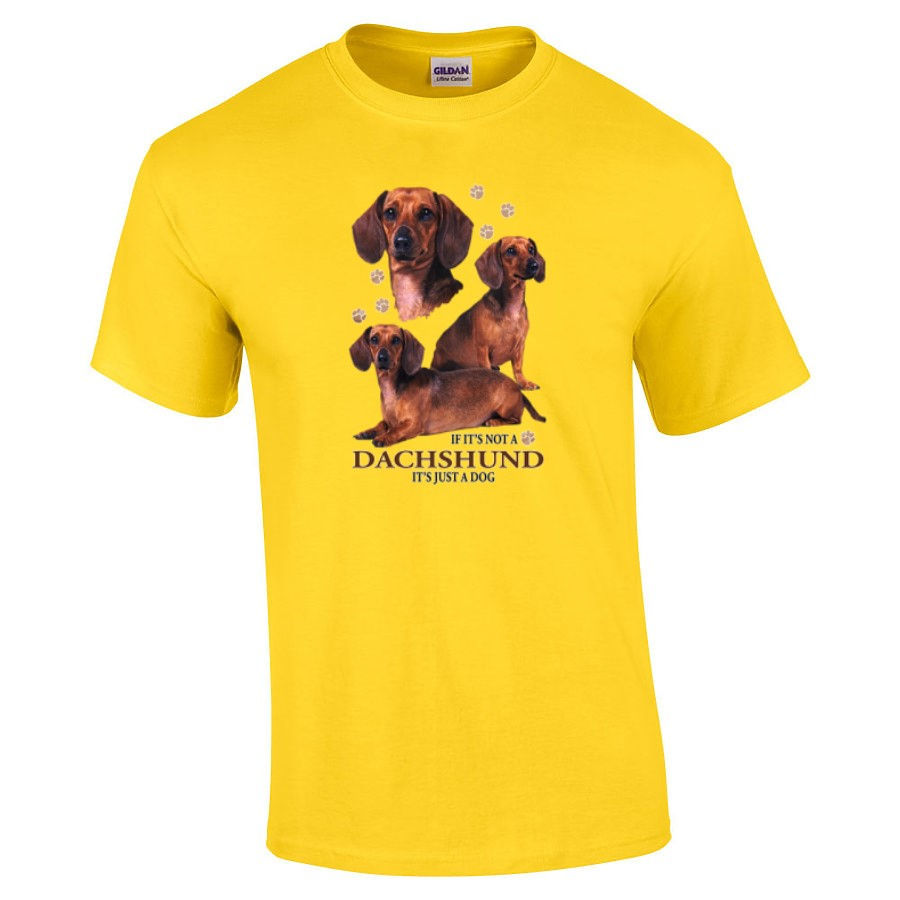Thumbnail: Dachshund Just A Dog T-shirt