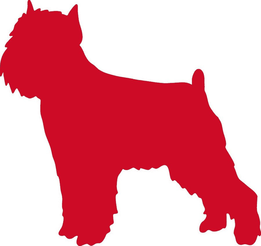 Thumbnail: Brussels Griffon Dog Vinyl Decals