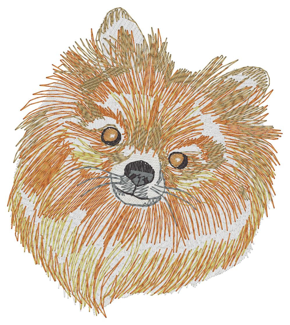 Embroidered Pomeranian T-shirt