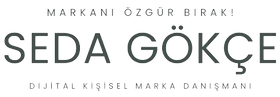 cropped-seda_gok-removebg-preview_edited