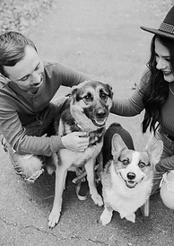 Family photos with dogs