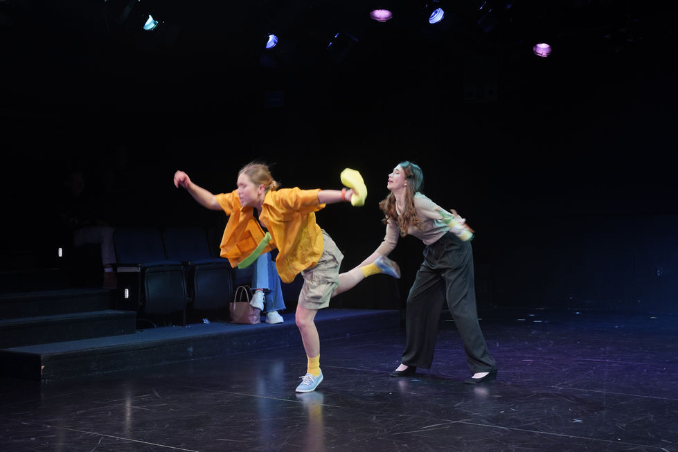 UCSD T&D Studio Shakes Comedy of Errors