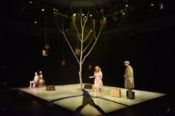 Photo By: Louis Stein