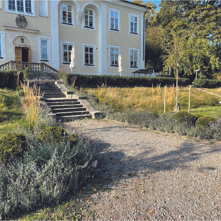 Vildare liv på Haga slott