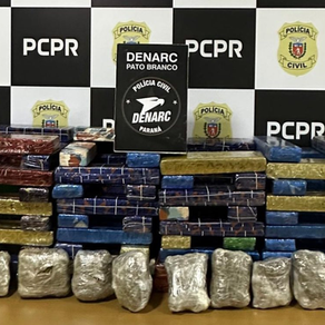 Polícia Civil apreende quase 65 kg de maconha após denúncia