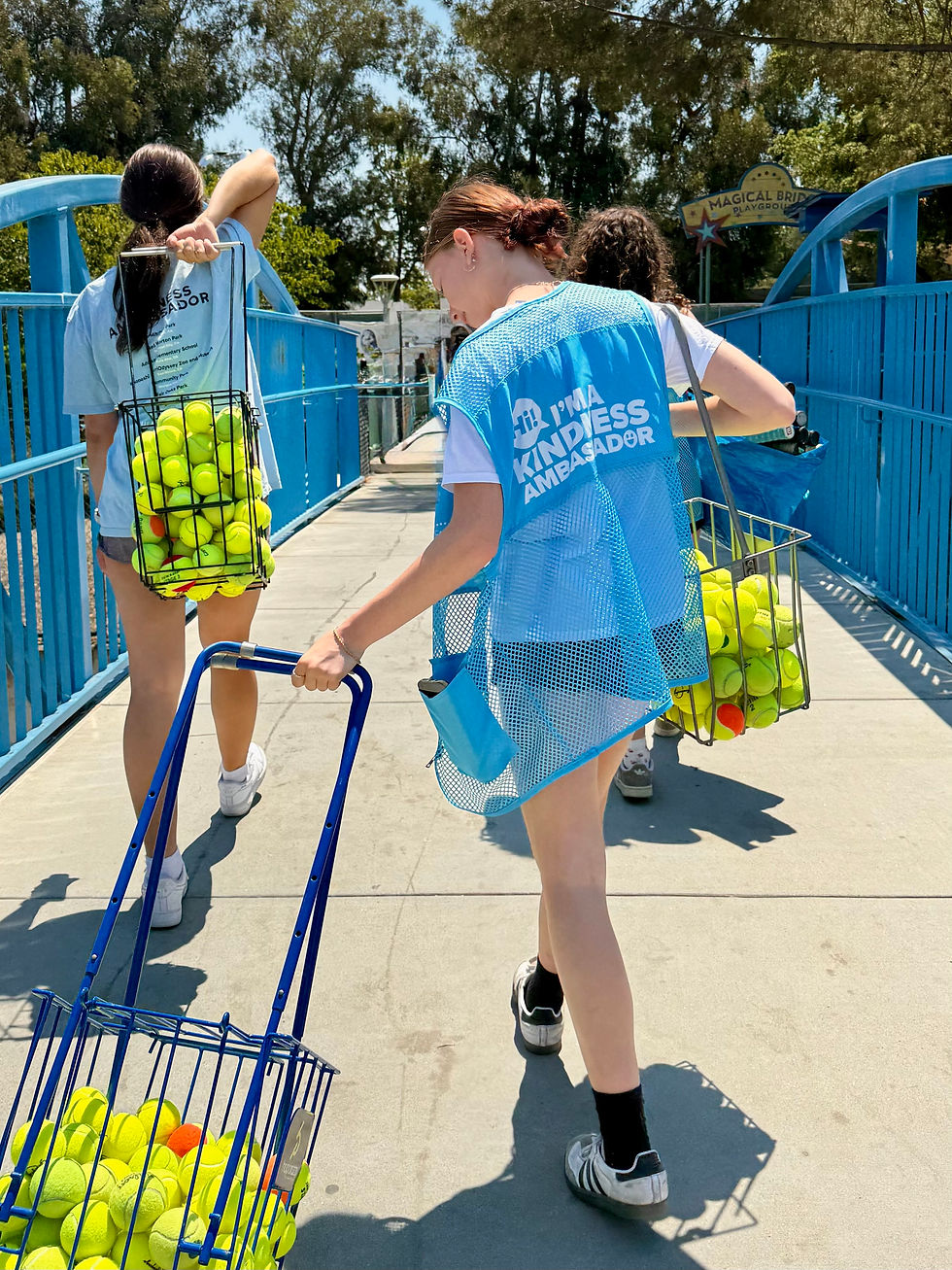 MBF_TENNIS ON BRIDGE
