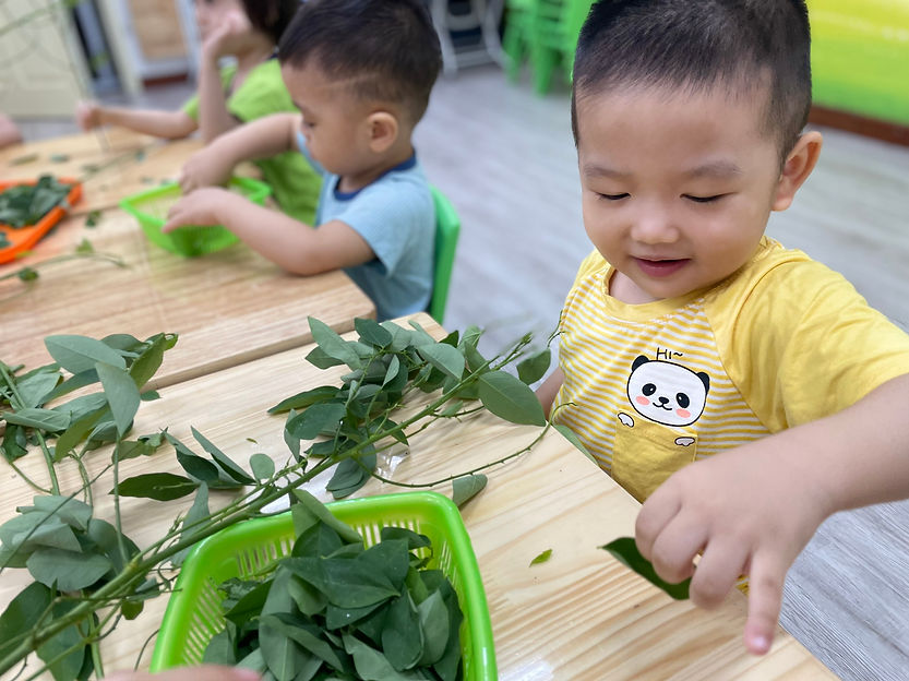 Chế độ dinh dưỡng an toàn tại Mầm non Bình Minh, Hàm Nghi