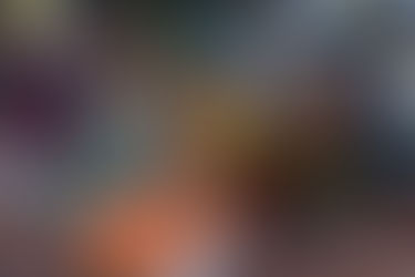 Das Ganu Bhajan Parivar: A Spiritual Celebration at Sector 19 Sanatan Dharma Mandir