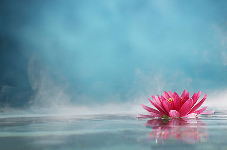 Zen Lotus.jpg