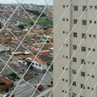 rede proteção para gatos em apartamentos bh