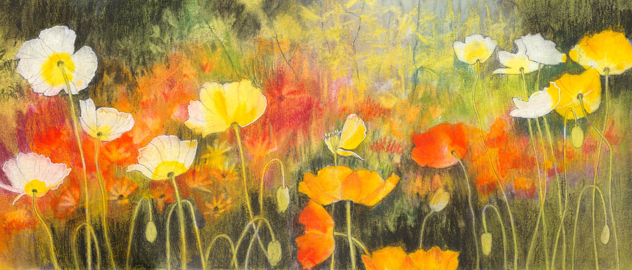 Rebecca Vincent drawing of Iceland Poppies in Flaming June garden flowers pastel and ink