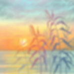 Rebecca Vincent reeds sea sunset colours japanese style