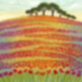 Flowers of the Field poppies painting greetings card Rebecca Vincent