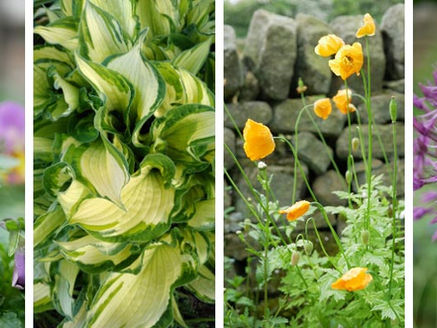 Colour for all seasons
