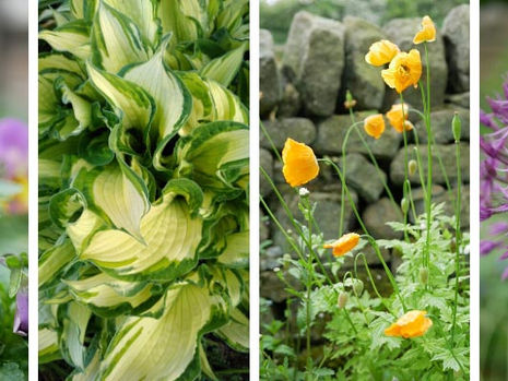 Colour for all seasons