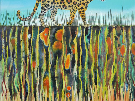 Can a leopard change her spots?