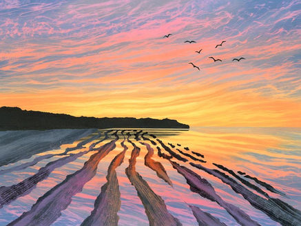 Sunset Seas and British Birds