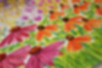 rebecca vincent garden painting techniques flowers colours grasses pattern
