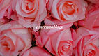 ameenahblogs banner.jpg
