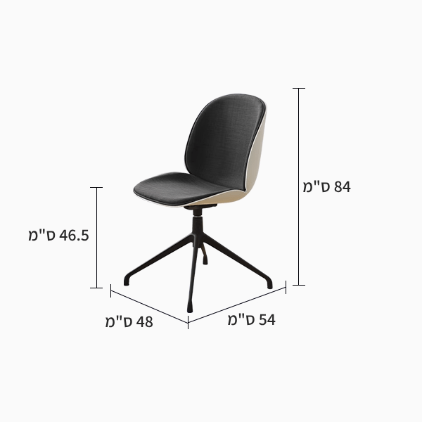 תמונה ממוזערת: כיסא Shell