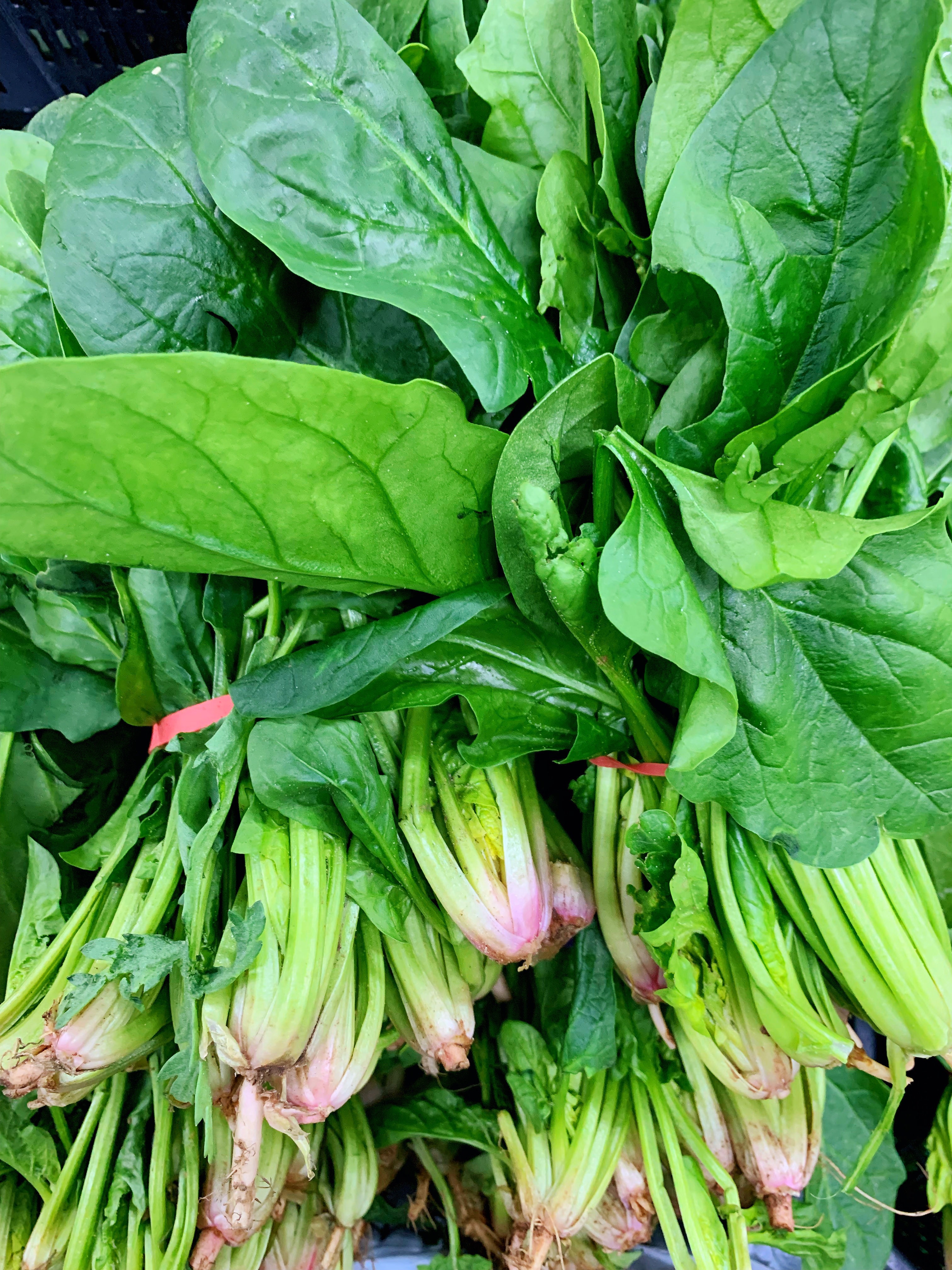 Spinach
