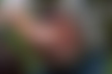 Topanga Banjo / Fiddle Contest and Folk Music Festival - Networking and Client Support