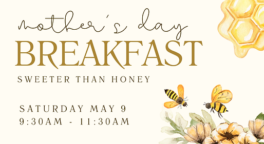 Wellspring Colour Background.001.png