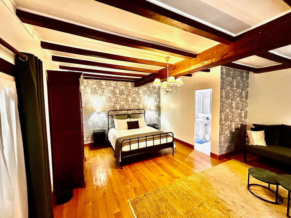 Pouillac kamer 2.jpeg