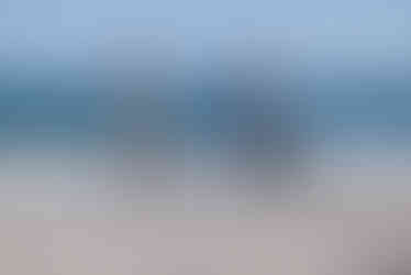 trash_the_dress_il (37)