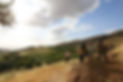 Regenerative agriculture and ecosystem restoration in Jordan