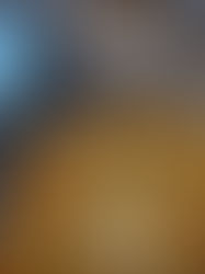 Einfach & Lecker: Pestostern