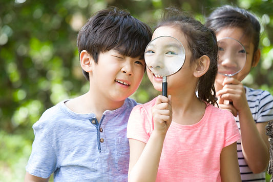 happy-children-playing-in-woods-2023-11-27-05-10-55-utc.jpg